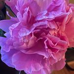 Meredith Read - @meredithread21 - Instagram