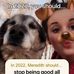 Meredith Ringwelski - Facebook
