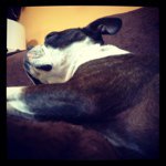 @meredith_ross - Instagram
