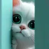 Meredith Ross - @ephienlam - TikTok