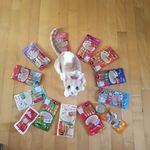 Meredith Russo - @arrincmork - Instagram