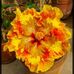 Meredith De-maris Samson - Facebook