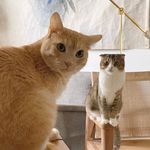 samson & meredith - @samson.and.meredith - Instagram