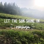 Meredith Sims - @theshoejar - Instagram