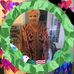 Meredith Tibbetts - Facebook