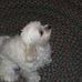 Katherine Scofield - Facebook