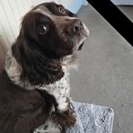 Tracy Meredith - Facebook