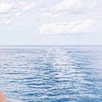 Meredith Vance - @meredithvance58 - Instagram