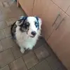 Meredith Devogele - @meredith.devogele - TikTok
