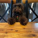 Meredith Swanson Vogel - @mvswanvog - Instagram