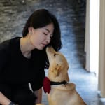 Meredith Wang - @feimengwang - Instagram