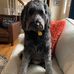 Meredith Ward - Facebook