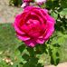 Meredith Ward - Facebook