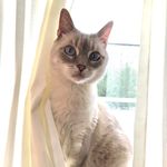 Meredith Weaver - @merry.weaves - Instagram