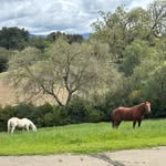 Meredith Weaver Armienti - @mers_scenic_snapshots - Instagram