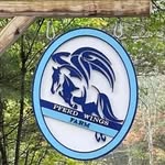 Meredith Webb | Breeder of Sporthorses - @pferd_wings_farm - Instagram