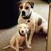 Meredith Weller Hughes - Facebook
