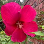 Meredith Wessell - Facebook