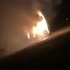 MeredithWilliamson - @aron8154rtu - TikTok
