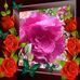 Meredith Winter - Facebook