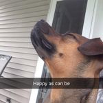 Pipi_kleilein - @meredithwinter727 - Instagram