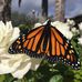 Meredith Wray - Facebook