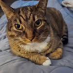 Meredith Yates - @meredith37066 - Instagram