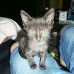 Nemo Mérida Alvarez - @merida1942014 - Instagram