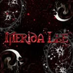 Merida Lee - @meridaleestoriess - Instagram