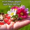 Merida Rodriguez - @merida.rodriguez0 - TikTok