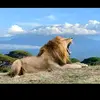 Merin Peter - @merin.peter6 - TikTok