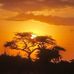 Peter Saito Merin - Facebook