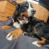 Merle Andersen - @merle.andersen0 - TikTok