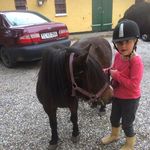 Merle Skadegaard Andersen - @merleskadegaard - Instagram