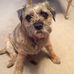Merle Arnold - Facebook