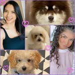 Merle Barroso - @merlebarroso - Instagram