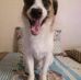 Marlie Barret - Facebook