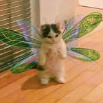 Merle Beckers - @merlexbeckers - Instagram