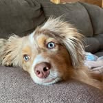Merle Brown - @merletheaussie7 - Instagram