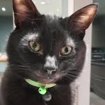 Merle Brown - @merlebrown27 - Instagram