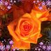 Merle Brown - Facebook