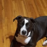 Merle Brown - @merle.brown.52 - Instagram