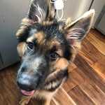 Merle.brown - @merle.brown9.11 - Instagram