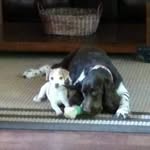 Merle Carroll - @meredithcarroll12 - Instagram