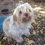 Merle Carter - @supernannymerle - Instagram