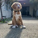 Merle Charles Jensen - @merlecharlesjensen - Instagram
