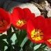 Merle E. Crowe - Facebook