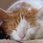 Merle Frank - @framerle28 - Instagram
