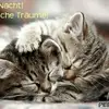 Merle Frank - @miauschi01 - TikTok