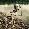 merle_langhoff - @merle.langhoff - TikTok